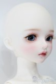 画像4: 【DOLK×MYOU DOLL】Delia - 不思議の国のアリス ver. Limited S-25-10-26-151-TO-ZS (4)