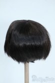 画像2: 8-9inch/ウィッグ Y-25-11-26-127-TO-ZY (2)