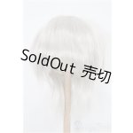画像: 8-9inch/ウィッグ S-26-02-01-348-TO-ZS