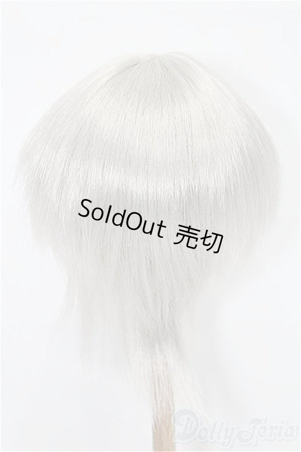 画像2: 8-9inch/ウィッグ S-26-02-01-348-TO-ZS (2)