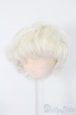 画像1: 4.5inch/ウィッグ S-25-10-26-189-TO-ZS (1)