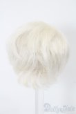 画像2: 4.5inch/ウィッグ S-25-10-26-189-TO-ZS (2)