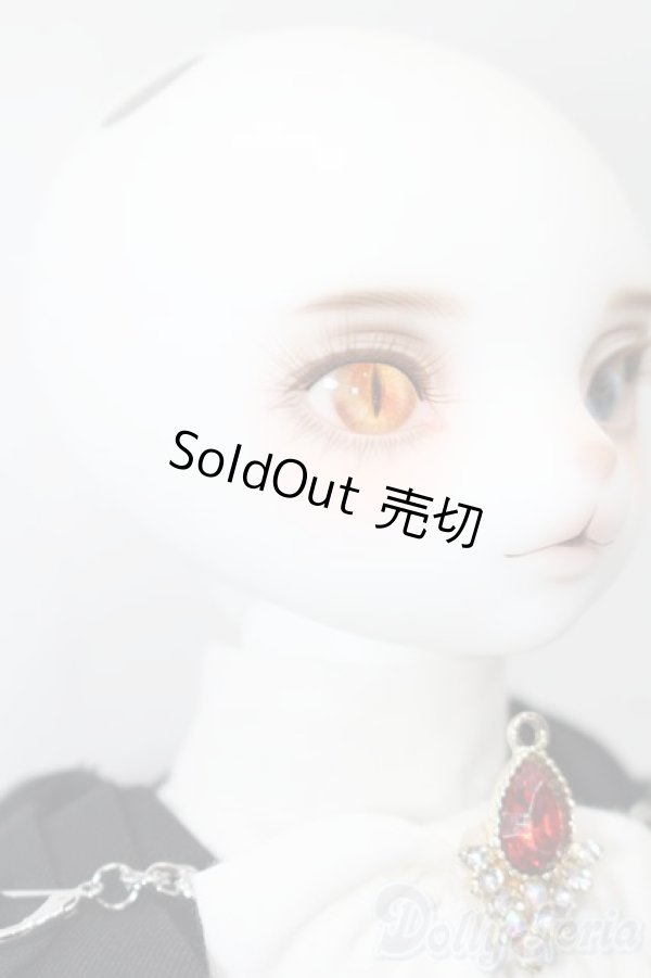 画像4: DEAR MINE/ARTHUR L. 江戸川乱歩 ver. Limited S-26-01-04-426-TO-ZS (4)