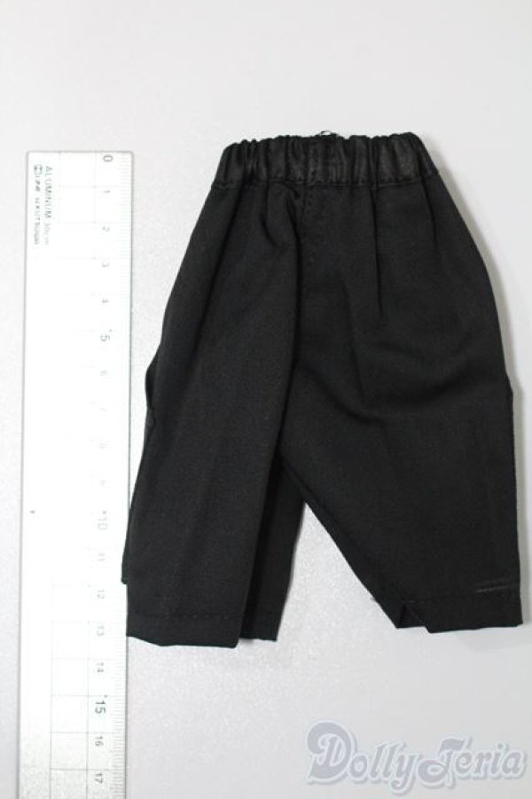 画像2: SDM＆MSD/OF:パンツ S-25-11-02-237-TO-ZS (2)