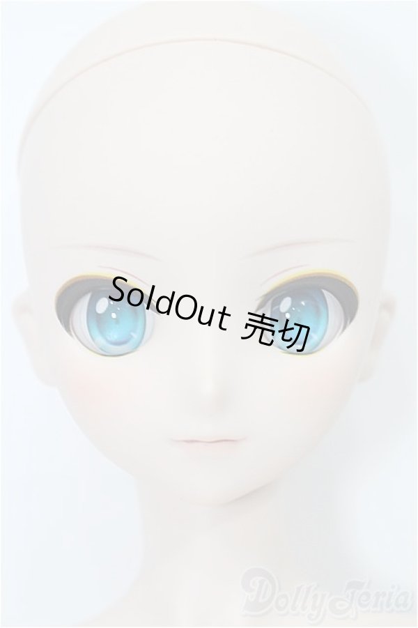 画像2: DDS/鏡音レン S-25-12-14-051-TO-ZS (2)