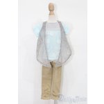 画像: MSD＆SDM/OF ナチュカジコーデセット・ミニ(VOLKS製) S-25-11-02-230-TO-ZS