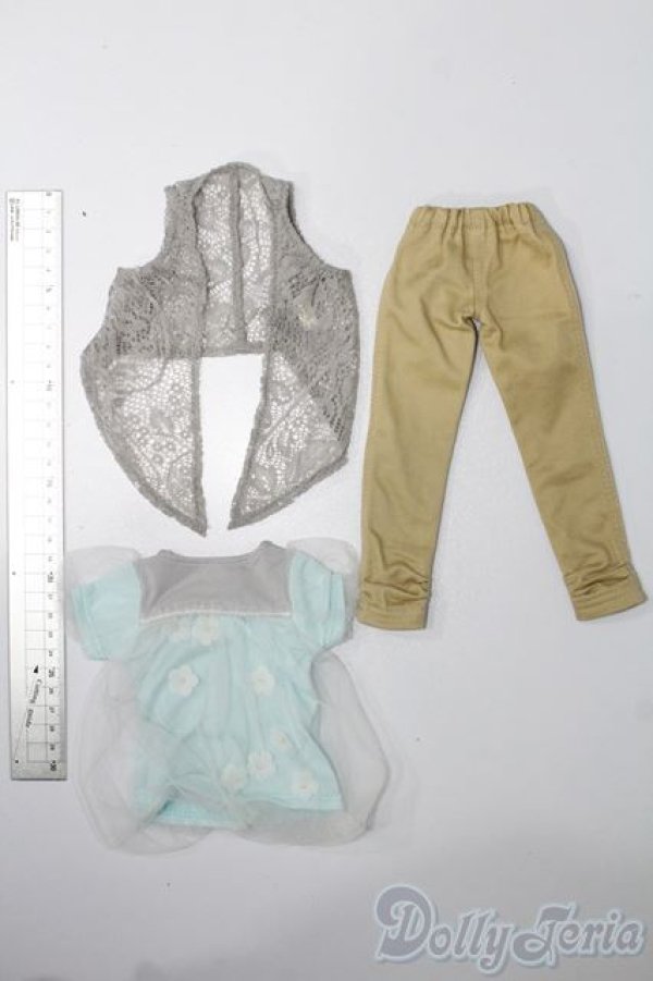 画像4: MSD＆SDM/OF ナチュカジコーデセット・ミニ(VOLKS製) S-25-11-02-230-TO-ZS (4)