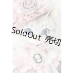 画像: nova-doll/Cat A-type Lala pink Ver. S-26-03-22-456-TO-ZS