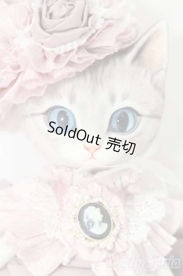 画像1: nova-doll/Cat A-type Lala pink Ver. S-26-03-22-456-TO-ZS (1)