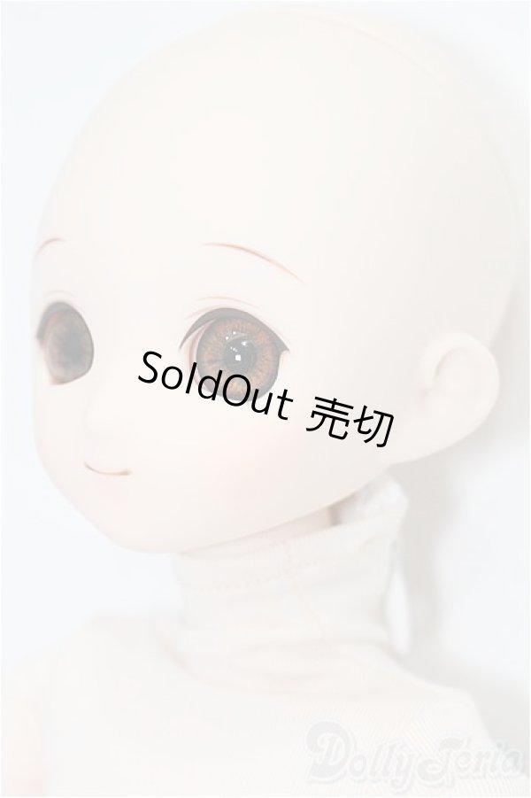 画像2: パラボックス/PB-6006+ヘッド+オビツ40ボディ S-25-11-30-054-TO-ZS (2)