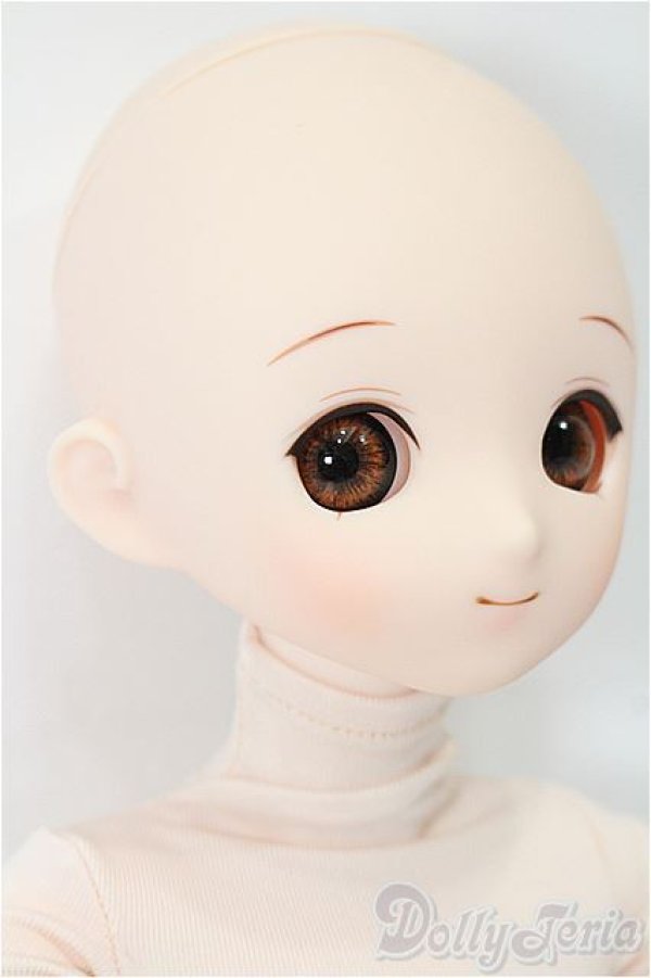 画像3: パラボックス/PB-6006+ヘッド+オビツ40ボディ S-25-11-30-054-TO-ZS (3)