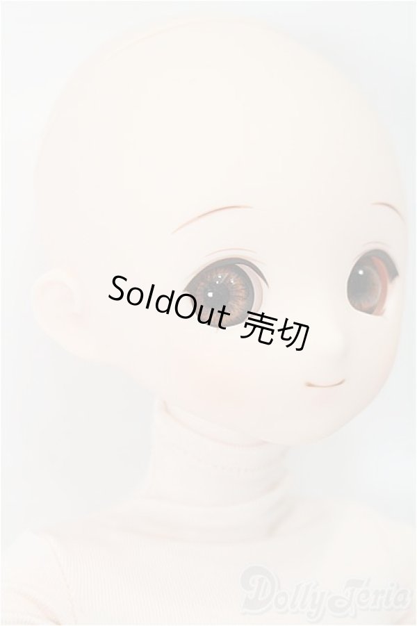 画像3: パラボックス/PB-6006+ヘッド+オビツ40ボディ S-25-11-30-054-TO-ZS (3)