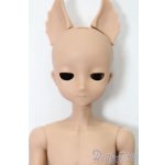 画像: elfin store/1/6ノアS S-25-11-02-160-TO-ZS