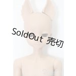 画像: elfin store/1/6ノアS S-25-11-02-160-TO-ZS