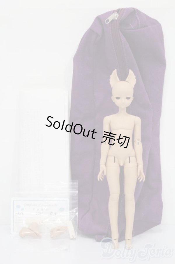 画像6: elfin store/1/6ノアS S-25-11-02-160-TO-ZS (6)