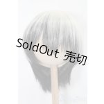 画像: 8-9inch/ウィッグ S-25-11-16-103-TO-ZS