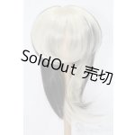 画像: 8-9inch/ウィッグ S-25-11-16-105-TO-ZS