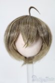 画像1: 5.5inch/ウィッグ S-25-11-02-288-TO-ZS (1)