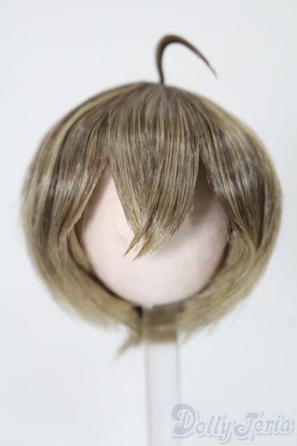 画像1: 5.5inch/ウィッグ S-25-11-02-288-TO-ZS (1)