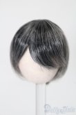 画像1: 4inch/ウィッグ S-25-11-02-283-TO-ZS (1)