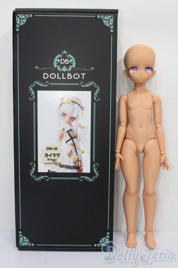 画像7: DOLLBOT/カイラヴ S-25-11-02-151-TO-ZS (7)