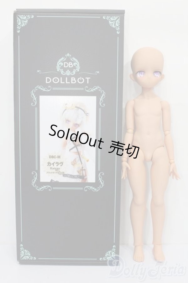 画像7: DOLLBOT/カイラヴ S-25-11-02-151-TO-ZS (7)