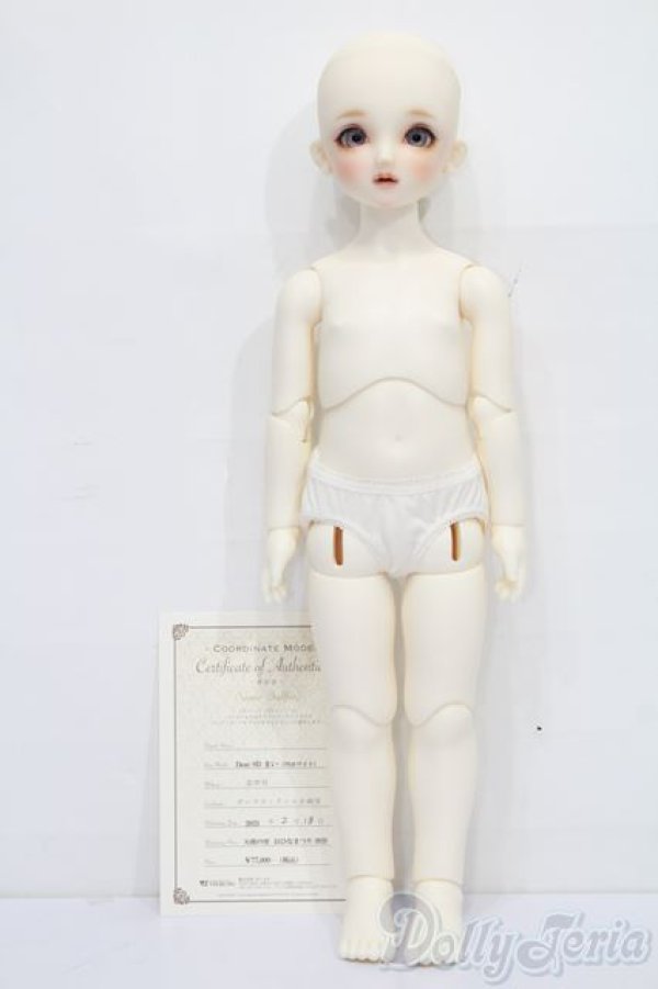 画像5: DearSD/まい S-26-01-25-438-YB-ZS (5)