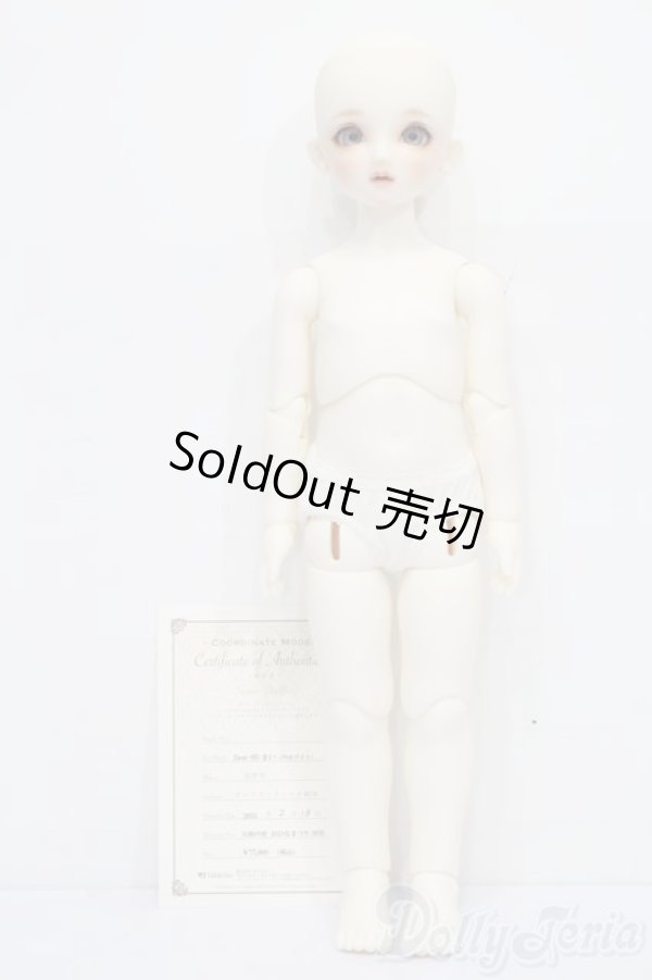 画像5: DearSD/まい S-26-01-25-438-YB-ZS (5)