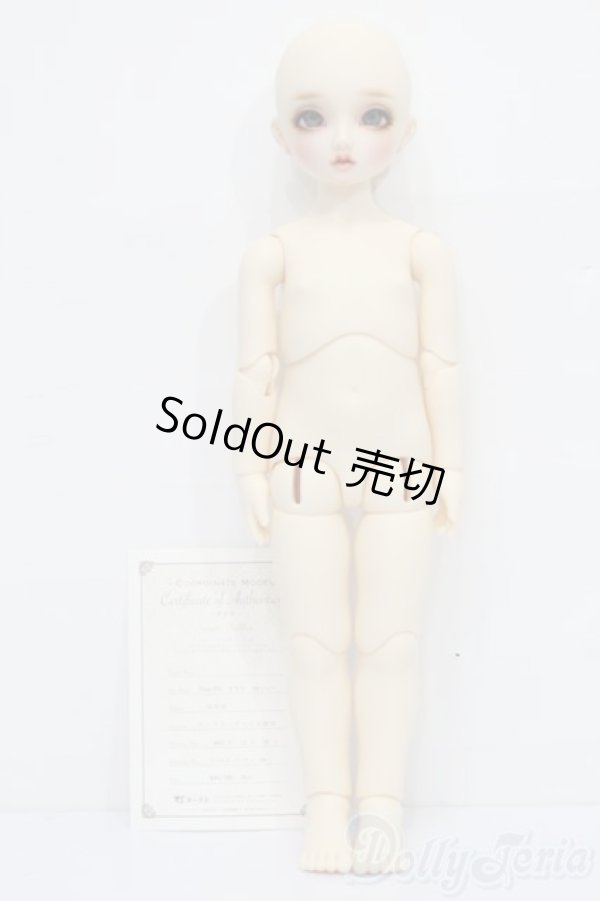 画像5: DearSD/まりか S-26-01-25-439-YB-ZS (5)