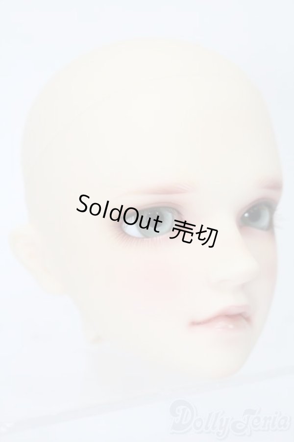 画像3: SDGrB/ワンオフモデル:慧 ヘッドのみ S-25-11-02-280-YB-ZS (3)