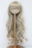 画像1: 8-9inch/ウィッグ S-25-11-09-227-YB-ZS (1)