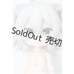 画像: ねんどろいどどーる/本体セット S-25-11-09-254-TO-ZS