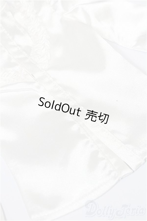 画像8: SD/OF:衣装セット S-25-11-16-229-TO-ZS (8)