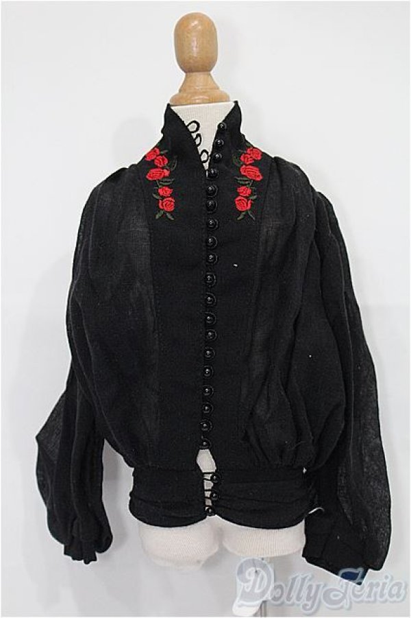 画像1: SD/OF:トップス S-25-11-30-138-TO-ZS (1)