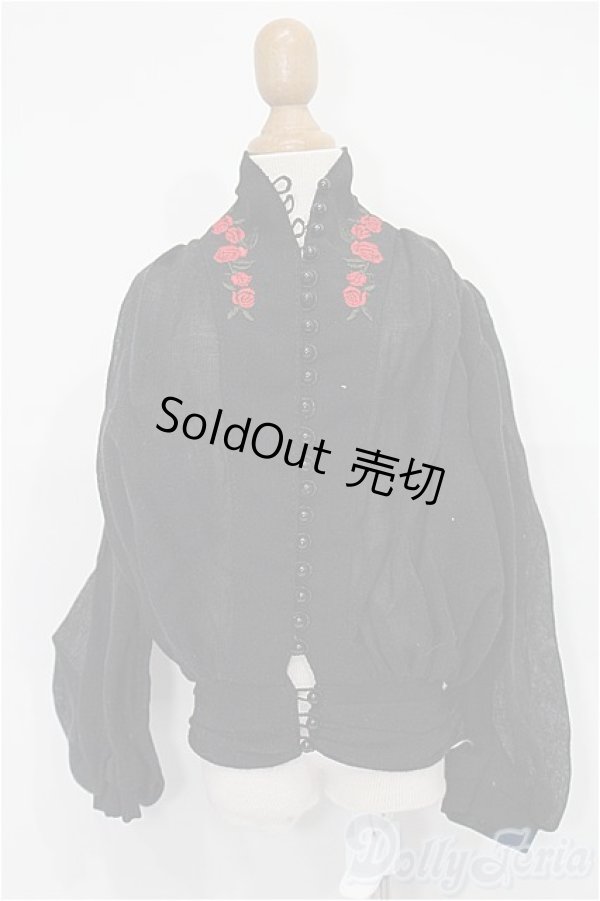 画像1: SD/OF:トップス S-25-11-30-138-TO-ZS (1)