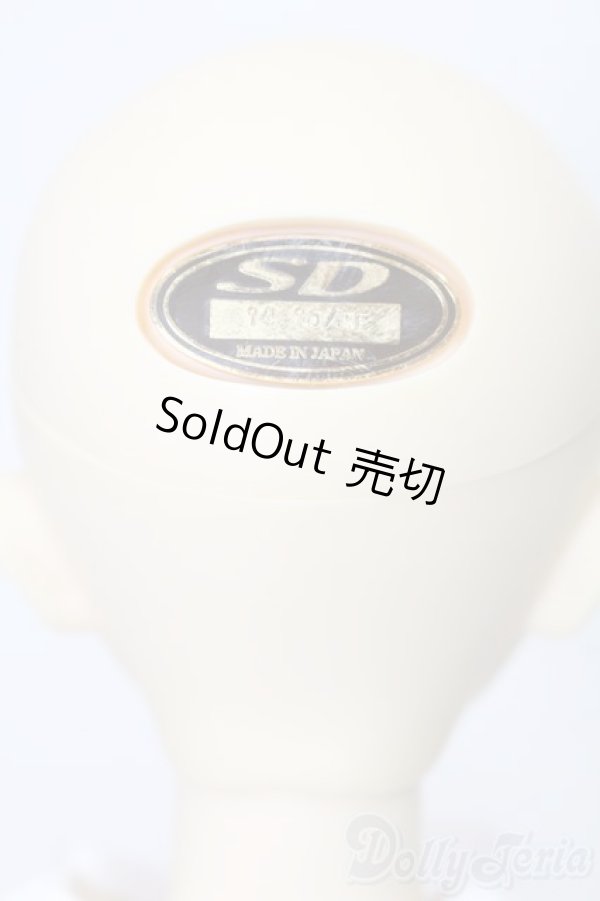 画像5: SD女の子/スタンダードモデル:ちよ S-25-11-09-202-TO-ZS (5)