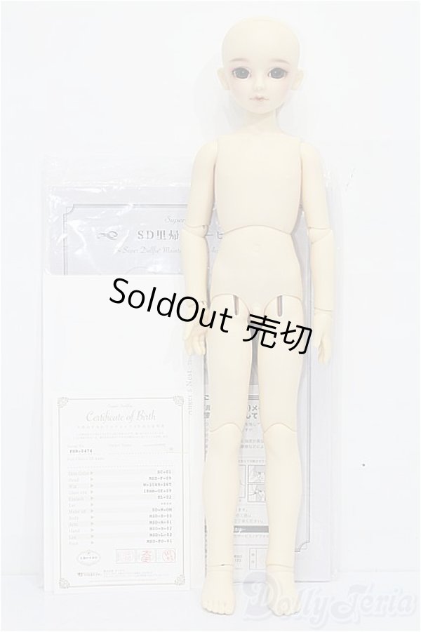 画像5: MSD男の子/フルチョイス：F-09 S-26-01-25-431-TO-ZS (5)