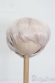 画像1: 7-8inch/ウィッグ S-25-11-09-124-TO-ZS (1)