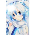 画像: DD/雪ミク S-25-11-09-055-TO-ZS
