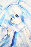 画像1: DD/雪ミク S-26-06-14-154-TO-ZS (1)