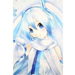 画像: DD/雪ミク S-26-06-14-154-TO-ZS