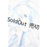 画像: DD/雪ミク S-26-06-14-154-TO-ZS