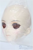画像2: DDH-07メイク済みヘッド：ファンブックvol.2 S-25-12-21-402-TO-ZS (2)