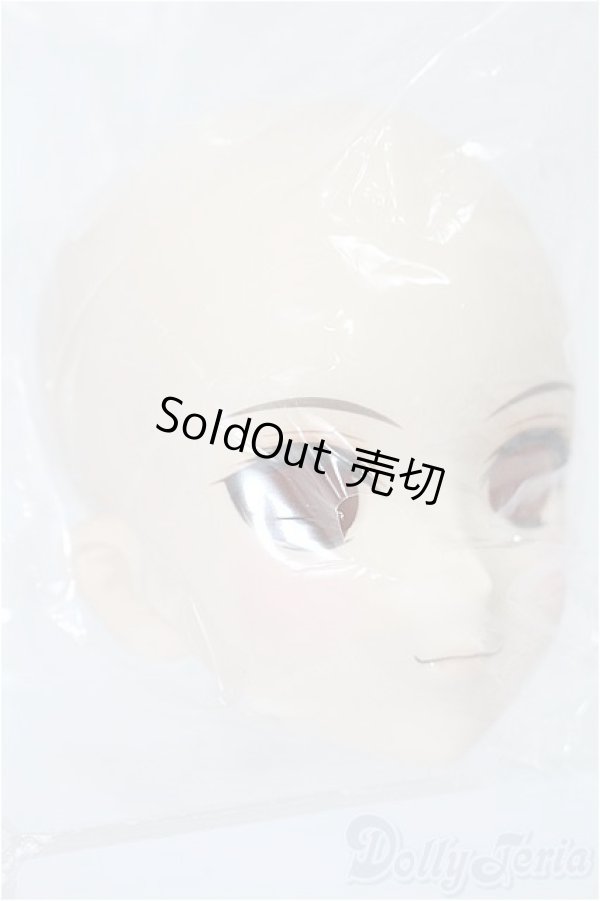 画像3: DDH-07メイク済みヘッド：ファンブックvol.2 S-25-12-21-402-TO-ZS (3)