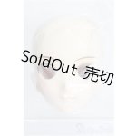 画像: DDH-07メイク済みヘッド：ファンブックvol.2 S-25-12-28-301-TO-ZS