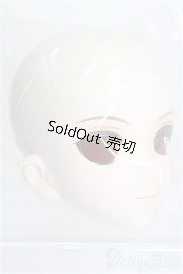 画像2: DDH-07メイク済みヘッド：ファンブックvol.2 S-25-12-28-301-TO-ZS (2)