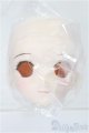 画像: DD/DDH-06 メイク済みヘッド 2011ver. S-25-11-16-254-TO-ZS