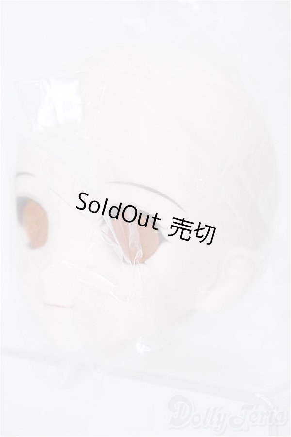 画像2: DD/DDH-06 メイク済みヘッド 2011ver. S-25-12-21-398-TO-ZS (2)