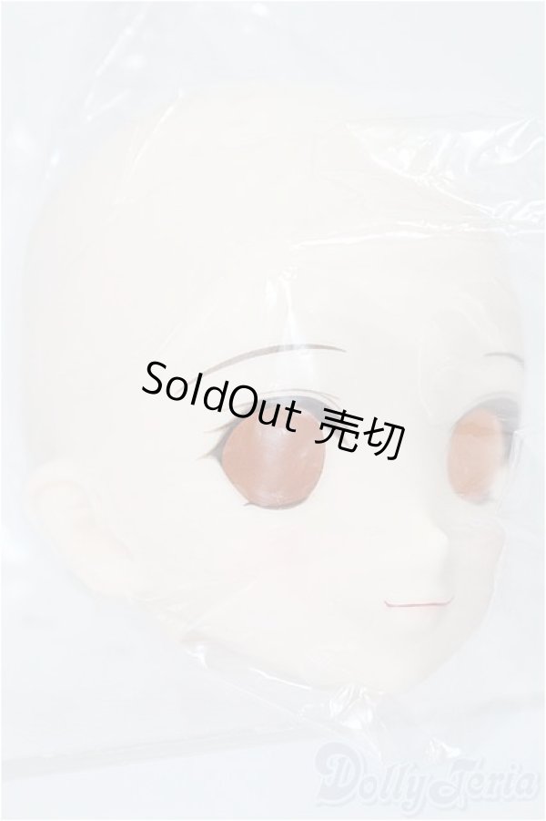 画像3: DD/DDH-06 メイク済みヘッド 2011ver. S-25-12-21-398-TO-ZS (3)