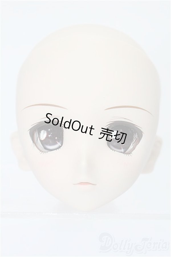 画像1: DDH-03/オプションヘッド　メイク済み　2010ver. S-25-11-16-255-TO-ZS (1)